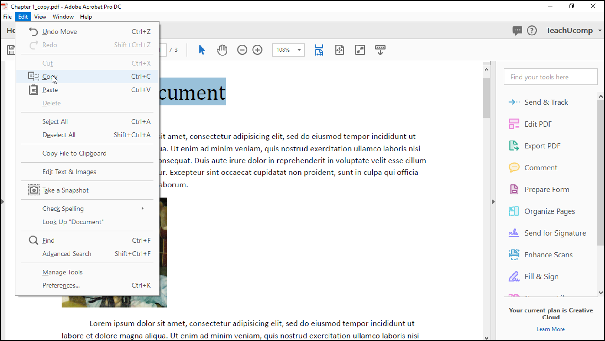 How To Insert Text Using Adobe Acrobat Professional